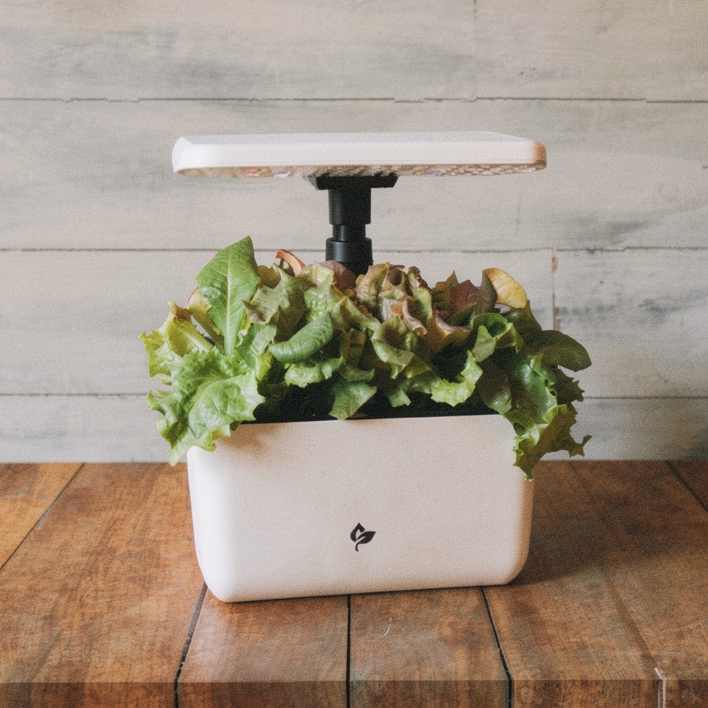 AeroGarden Harvest Lite